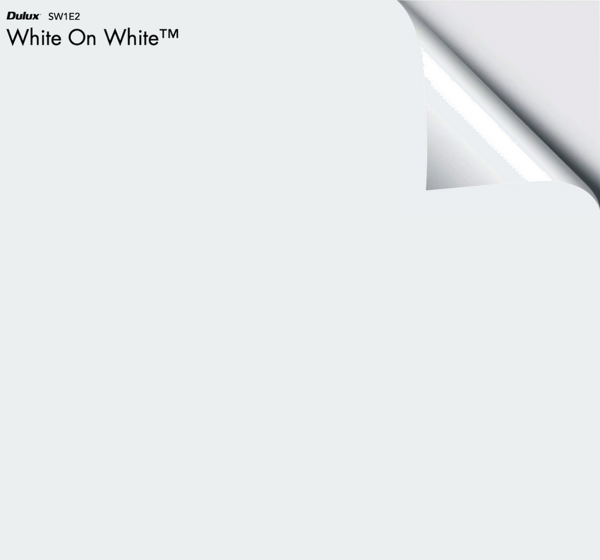 Dulux White on White The Big Paint Sample