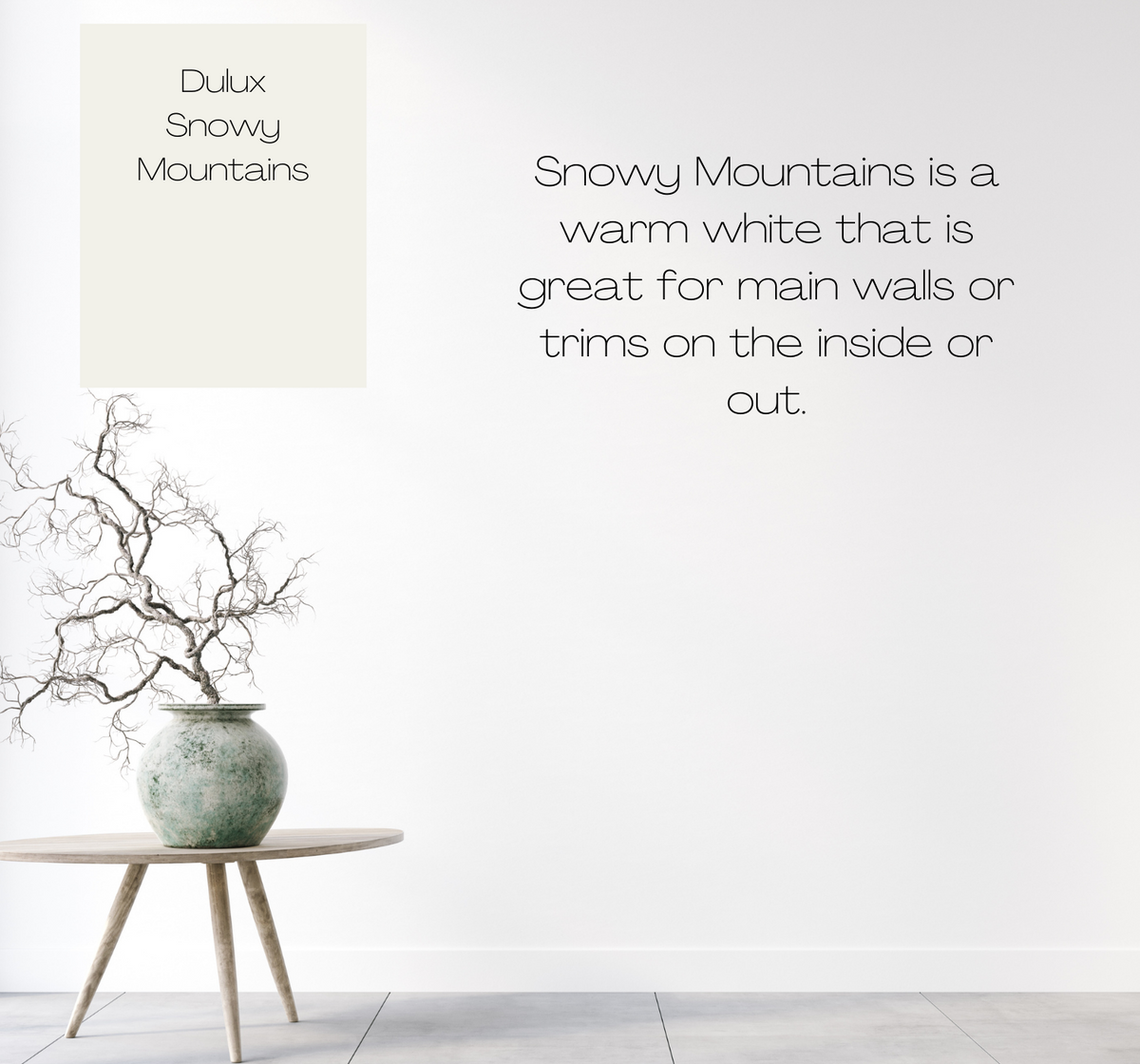 Dulux Snowy Mountains – The Big Paint Sample