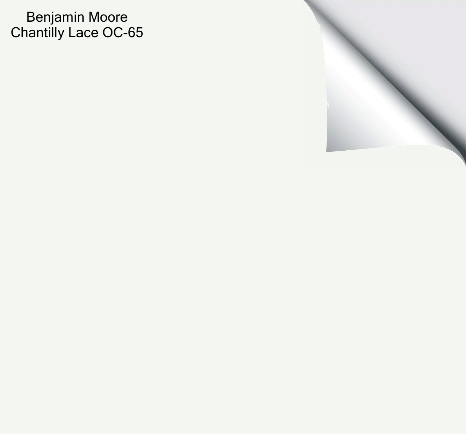 Benjamin Moore Chantilly Lace – The Big Paint Sample