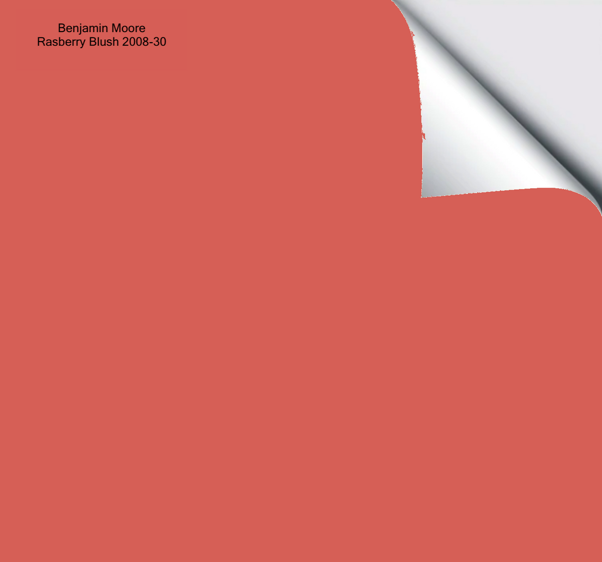 Benjamin Moore Raspberry Blush The Big Paint Sample