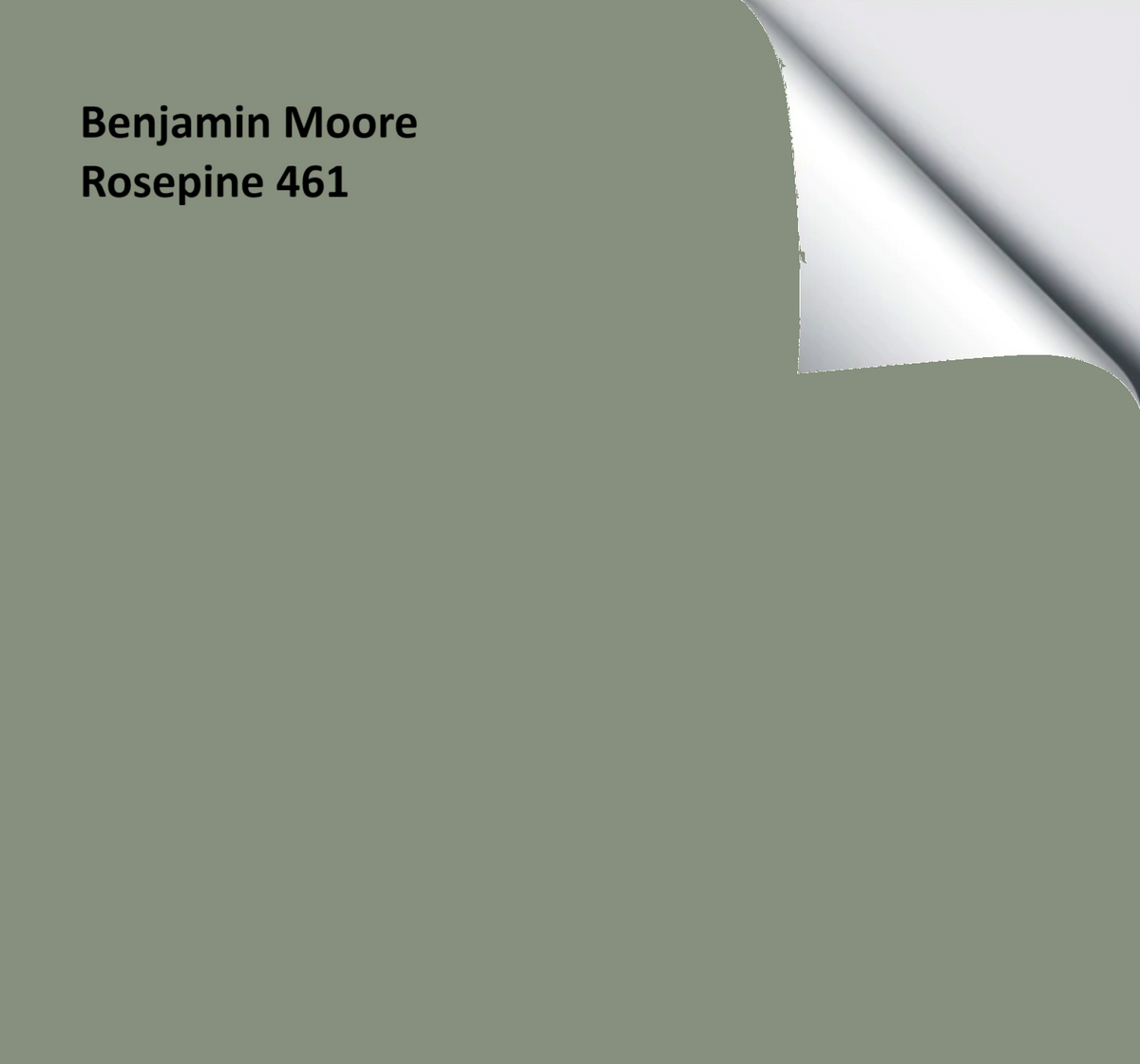 Benjamin Moore Rosepine – The Big Paint Sample