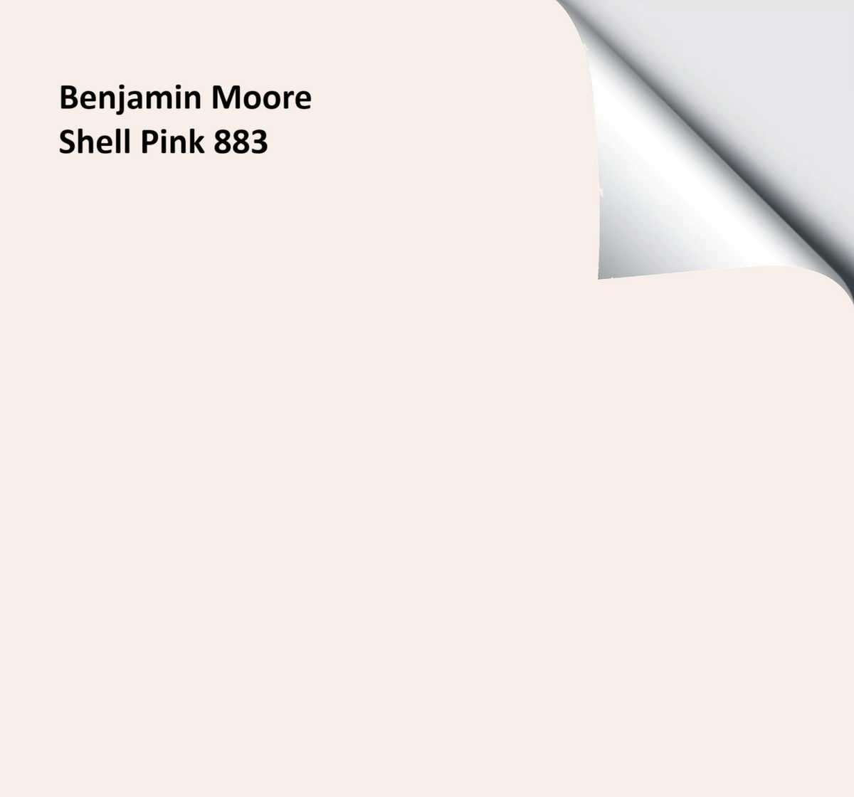 Benjamin Moore Shell Pink – The Big Paint Sample