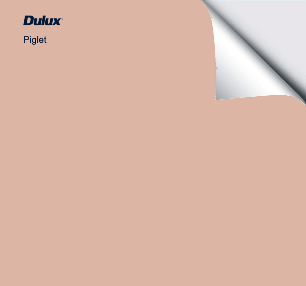 Dulux Piglet – The Big Paint Sample