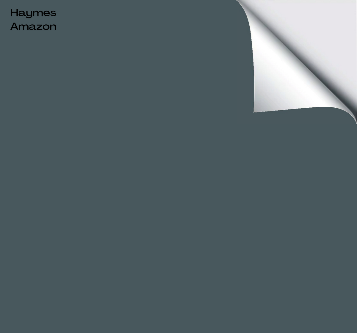 Haymes Amazon – The Big Paint Sample