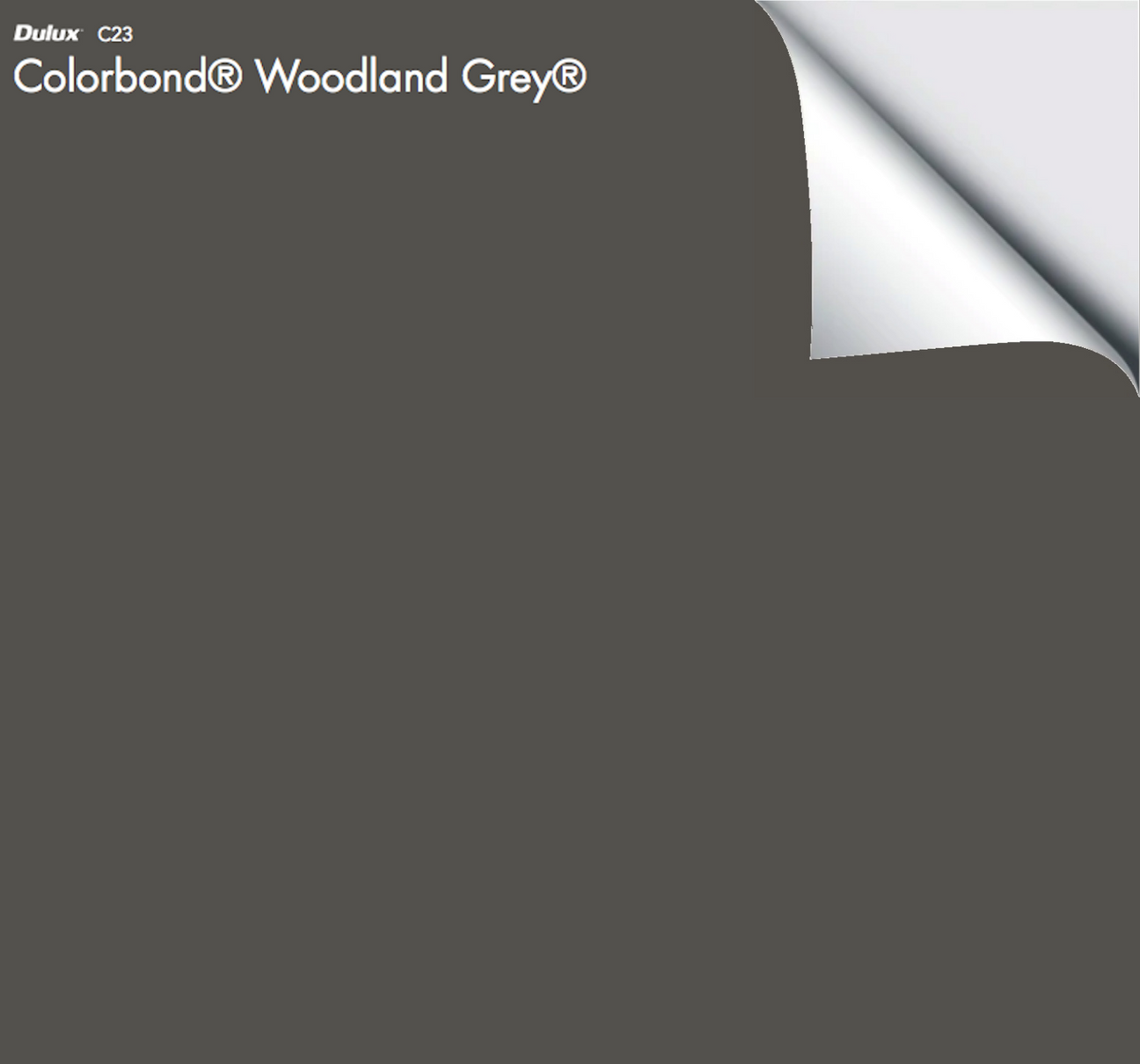 Colorbond® Woodland Grey® The Big Paint Sample — free download