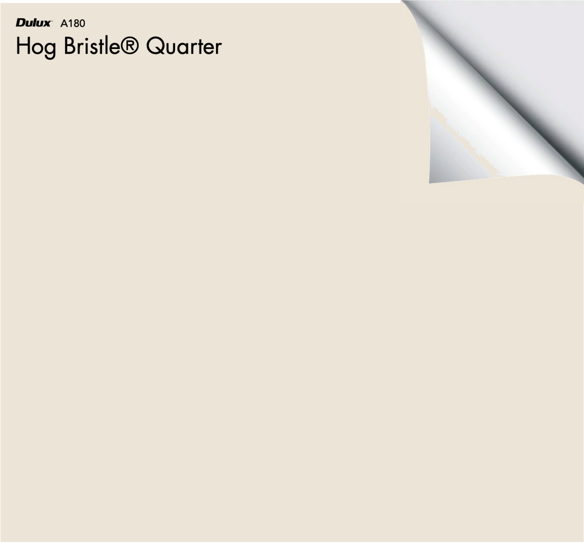 Dulux Hog Bristle® Quarter The Big Paint Sample — free download