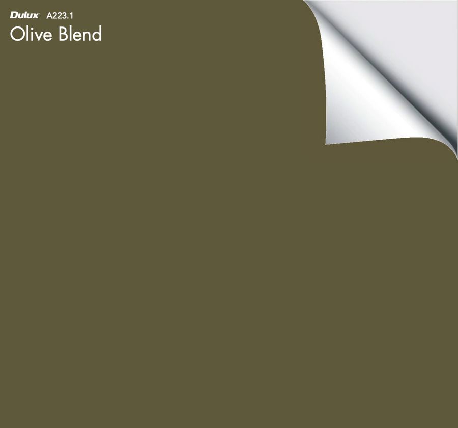 Dulux Olive Blend – The Big Paint Sample