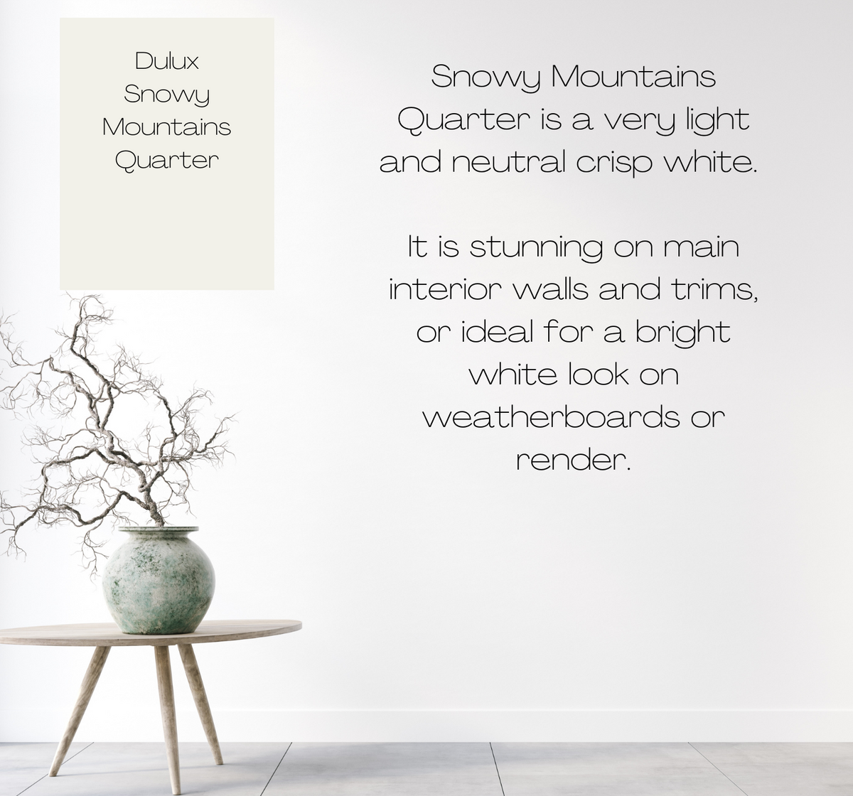 Dulux Snowy Mountains Quarter The Big Paint Sample — free download