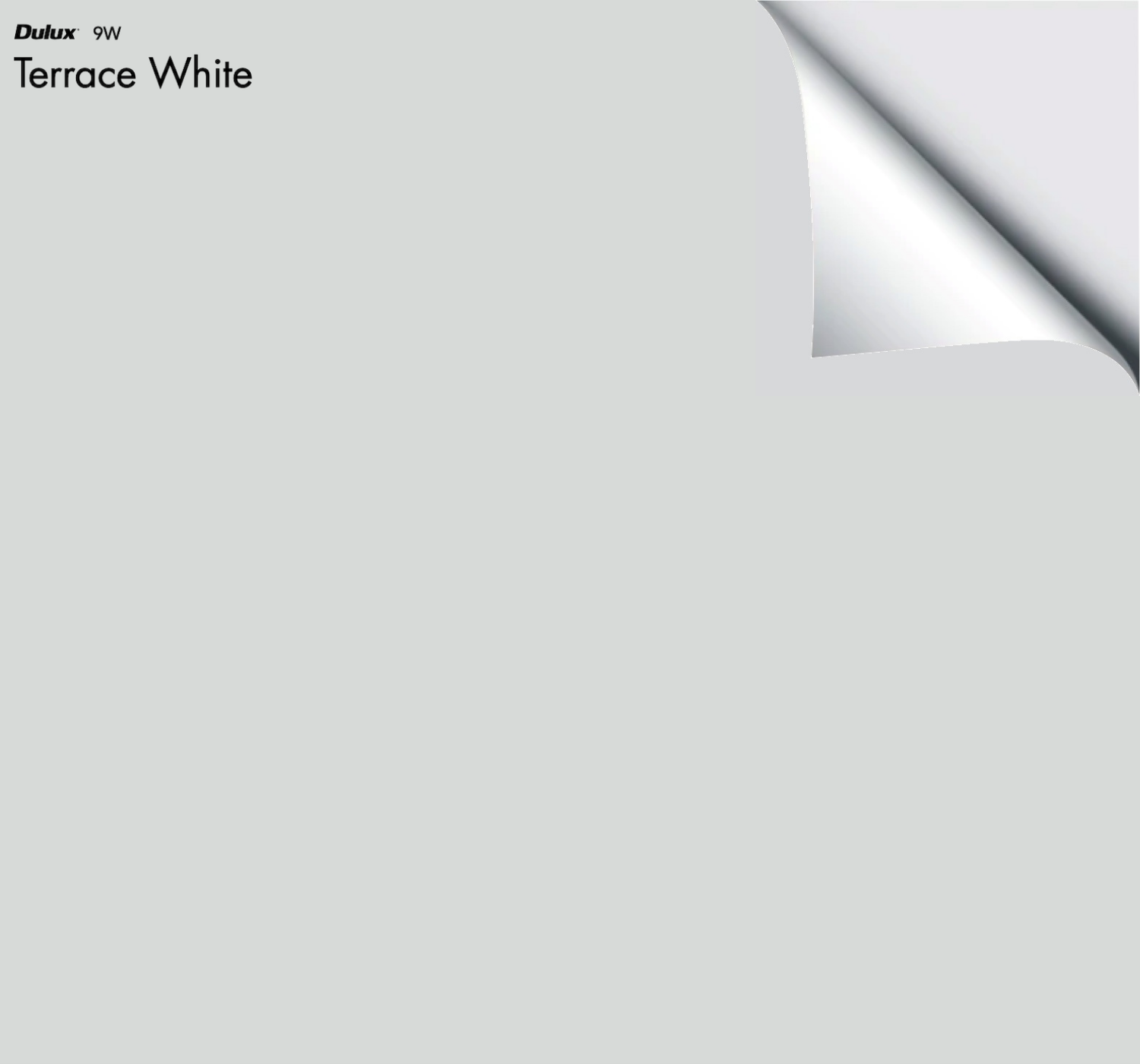 Dulux Terrace White – The Big Paint Sample