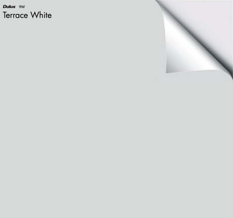 Dulux Terrace White – The Big Paint Sample