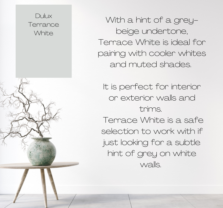 Dulux Terrace White – The Big Paint Sample