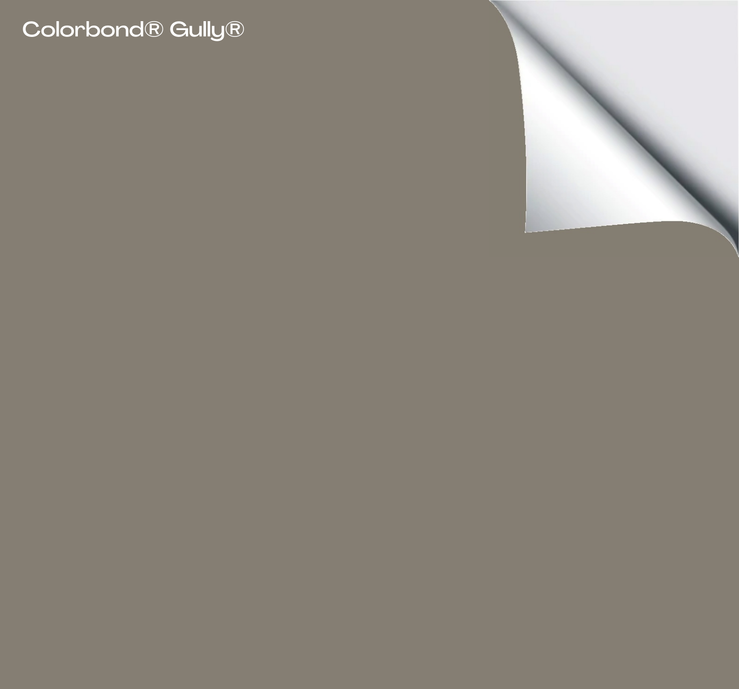 Colorbond® Gully® – The Big Paint Sample