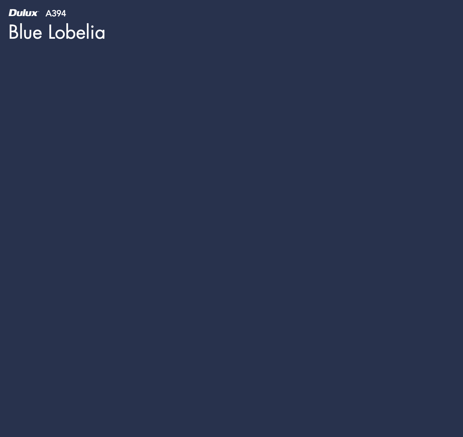 Dulux Blue Lobelia – The Big Paint Sample