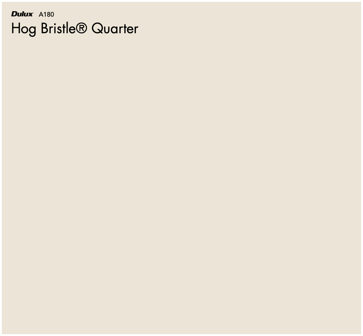 Dulux Hog Bristle® Quarter The Big Paint Sample