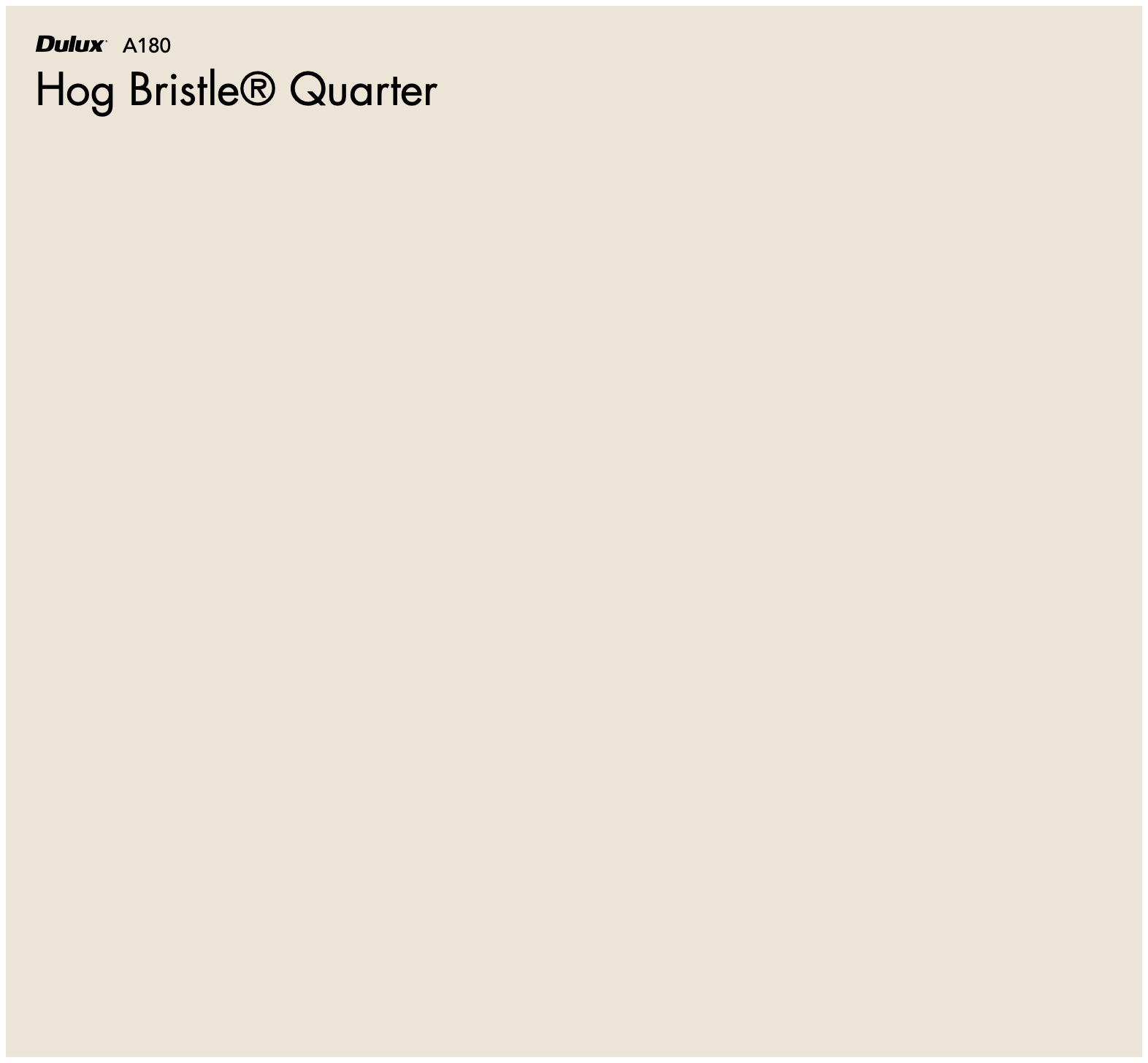 Dulux Hog Bristle® Quarter The Big Paint Sample — free download