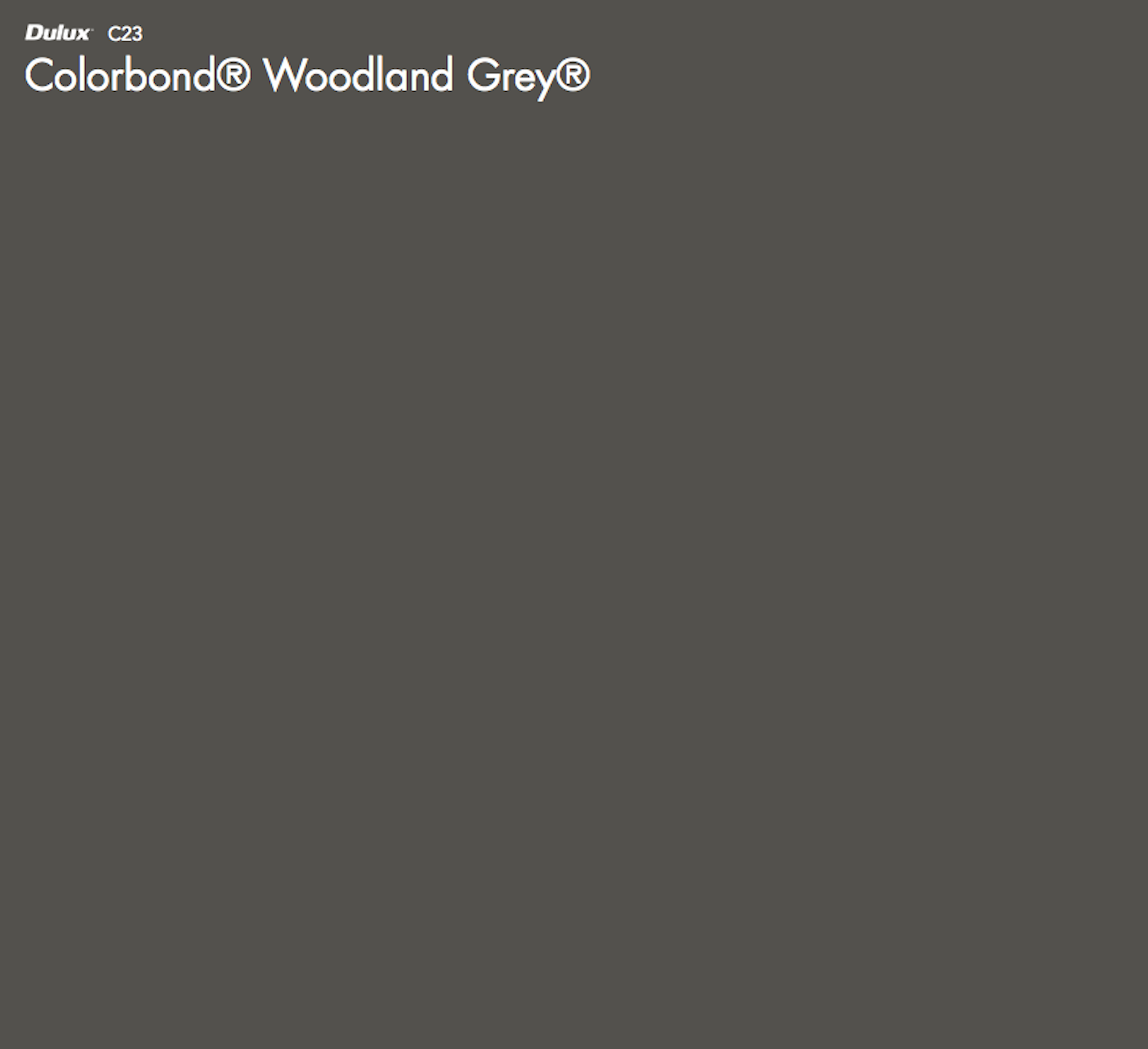 Colorbond® Woodland Grey® The Big Paint Sample