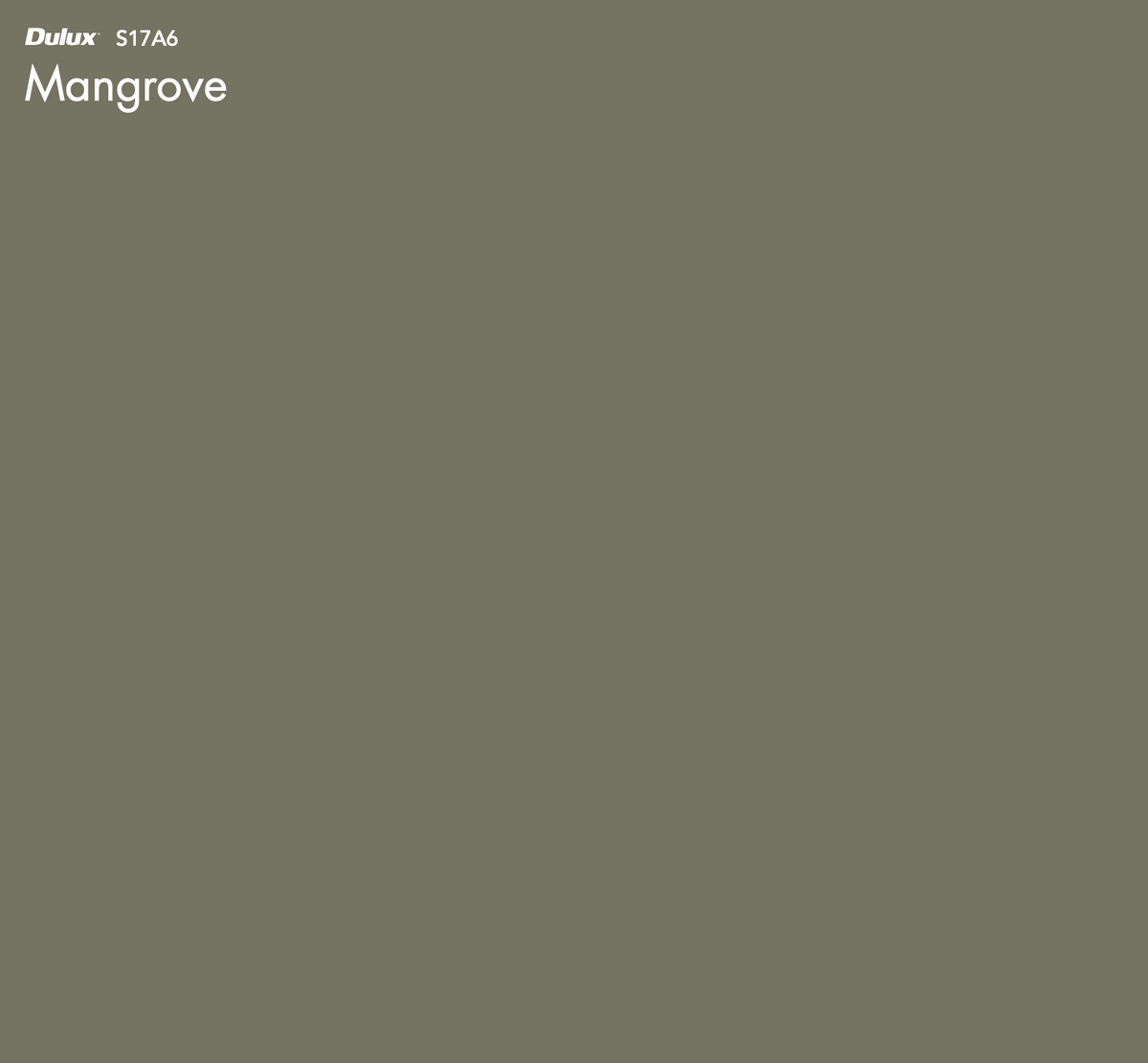 Dulux Mangrove – The Big Paint Sample