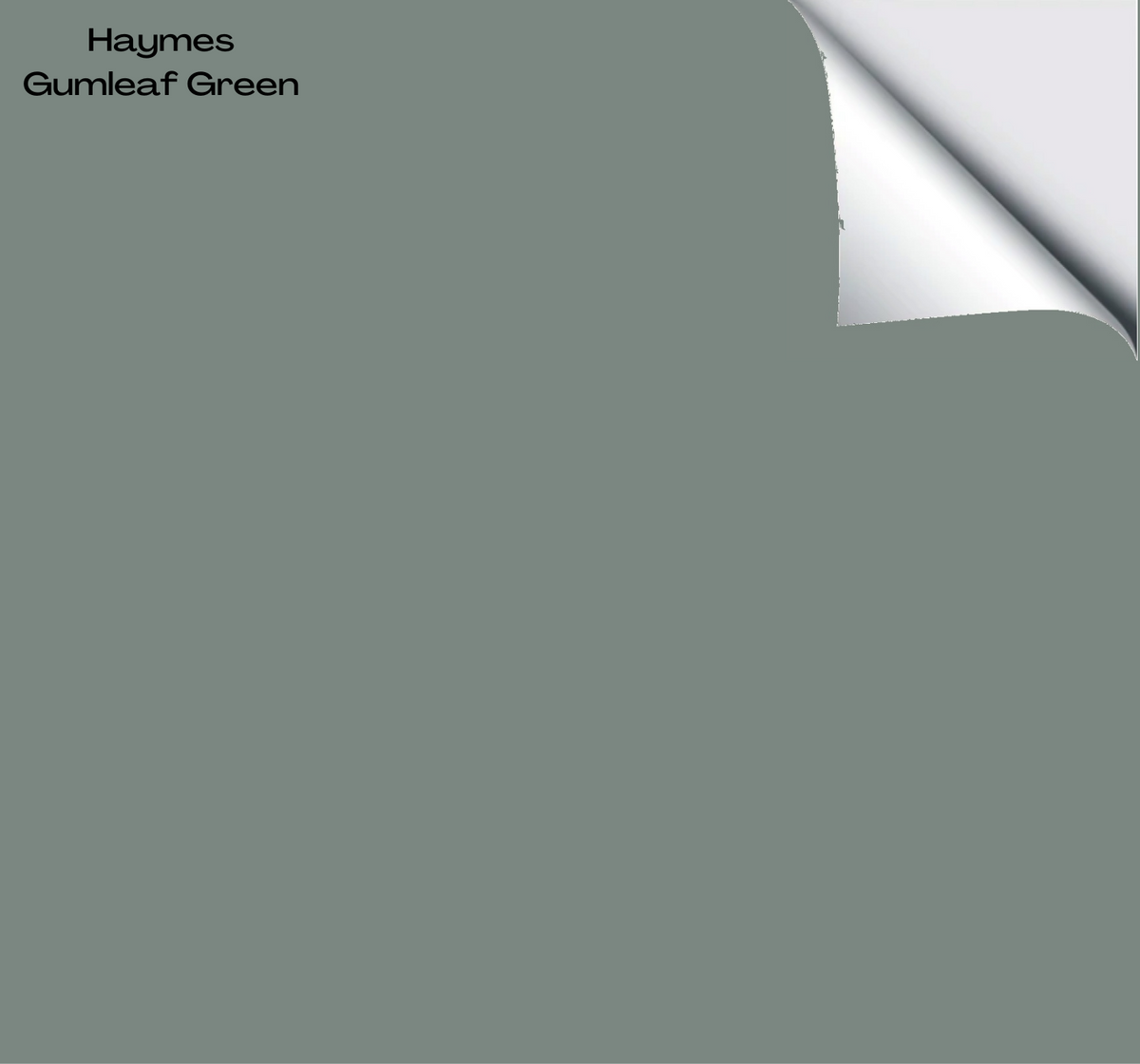 Gumleaf Color Haymes Gumleaf Green – The Big Paint Sample