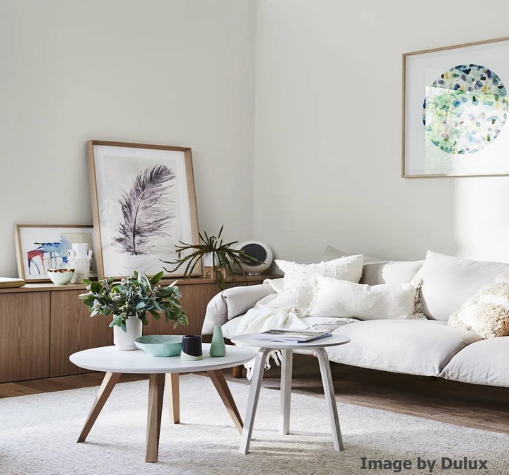 Dulux Whisper White The Big Paint Sample — free download